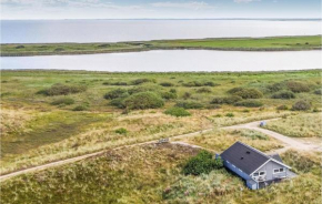Pet Friendly Home In Hvide Sande With House Sea View